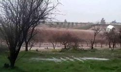 Şanlıurfa'yı sel vurdu! Tır böyle sürüklendi